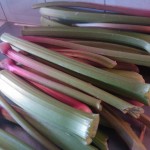 IMAG0398 IMAG0398